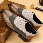 Zapato Brogue de Cuero Hallinger